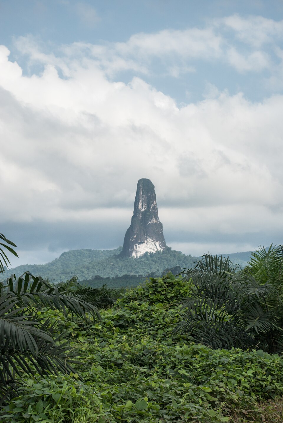 Pico Cão Grande rises above tropical vegetation.